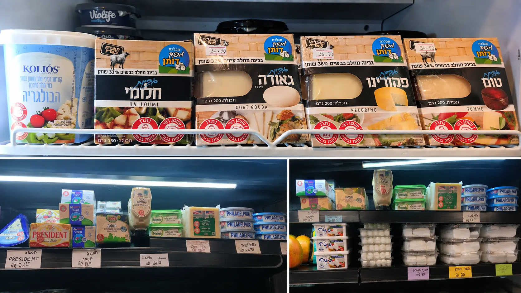 גבינות מיוחדות
